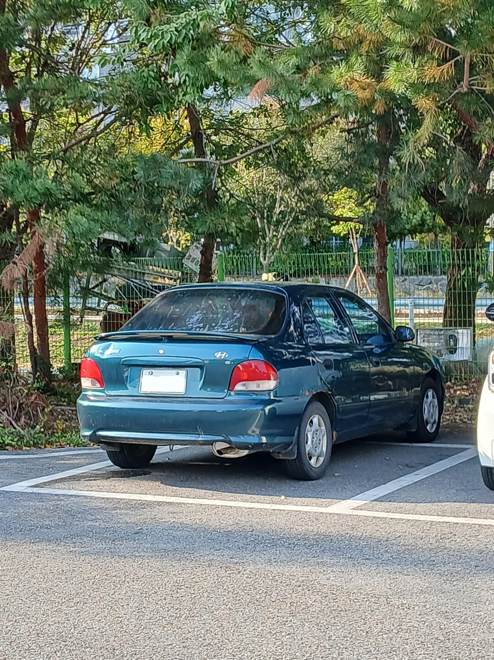 1000151765.jpg