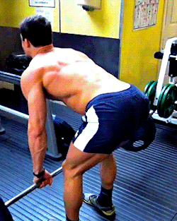 tumblr_o32diyxHxH1qd6639o4_250.gif