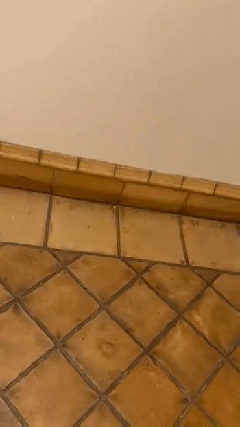 1000029045.gif