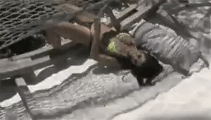 1000075076.gif