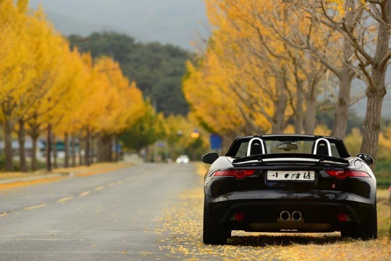 F-Type.jpg