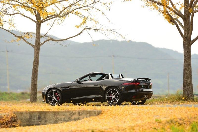 F-Type_1.jpg