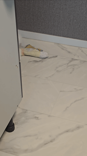 20241031_081022_1.gif