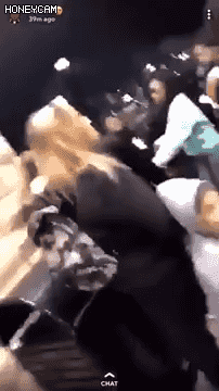singlebungle1472-20250701-120028-000-resize.gif