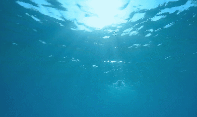 BwkW1657691822_1384246993.gif