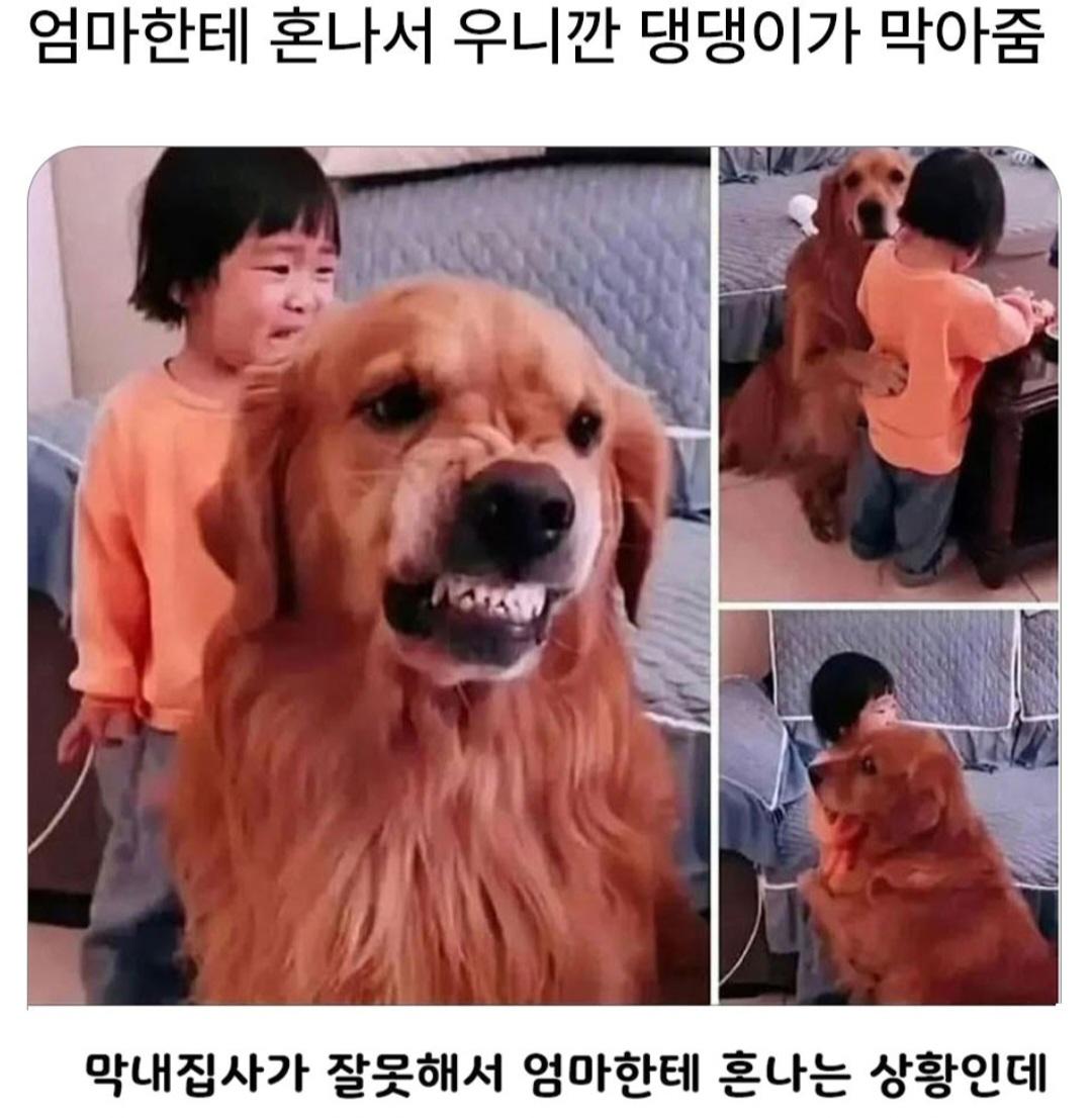 1000024009.jpg