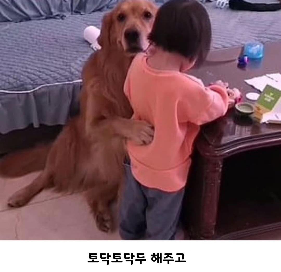 1000024011.jpg