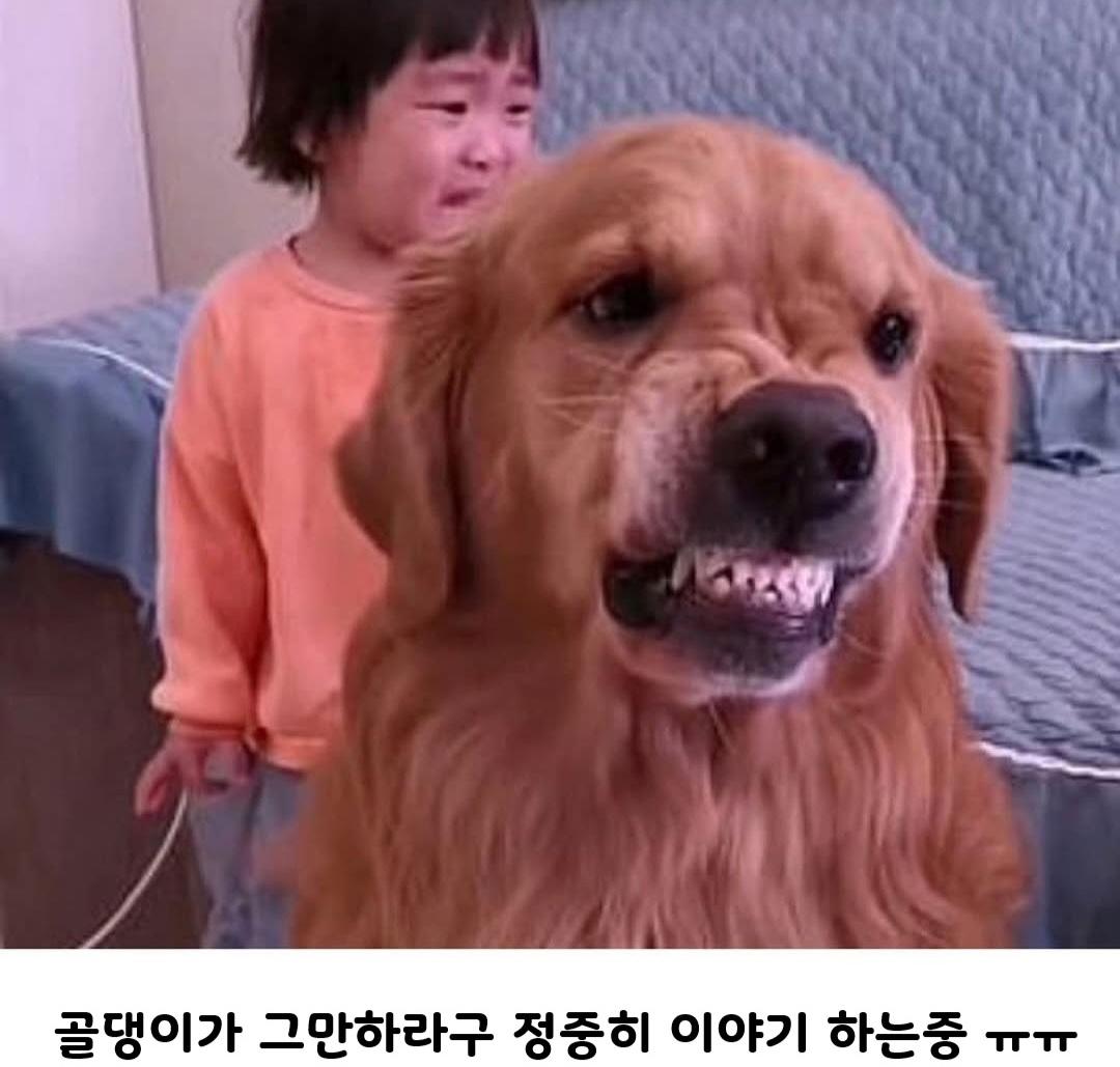 1000024010.jpg