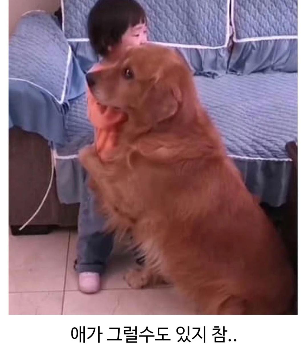 1000024012.jpg