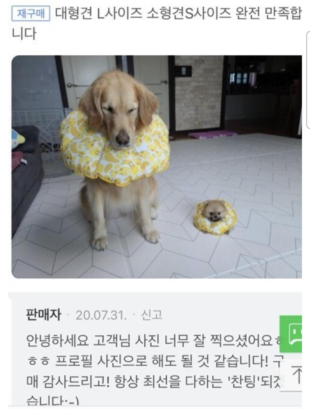 1000044172.jpg