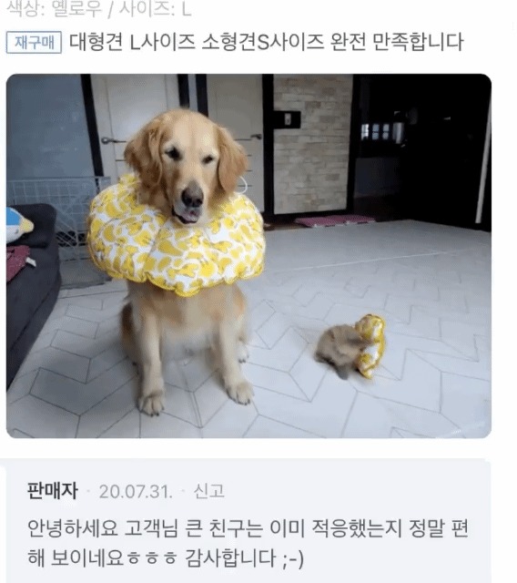 1000044174.gif