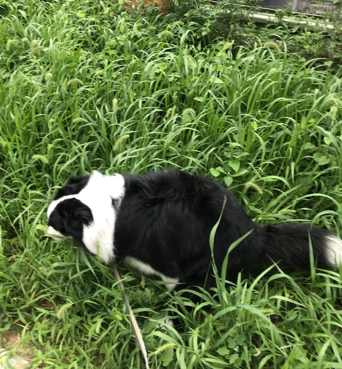 IMG_4574.jpeg