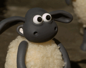 IMG_8510.gif