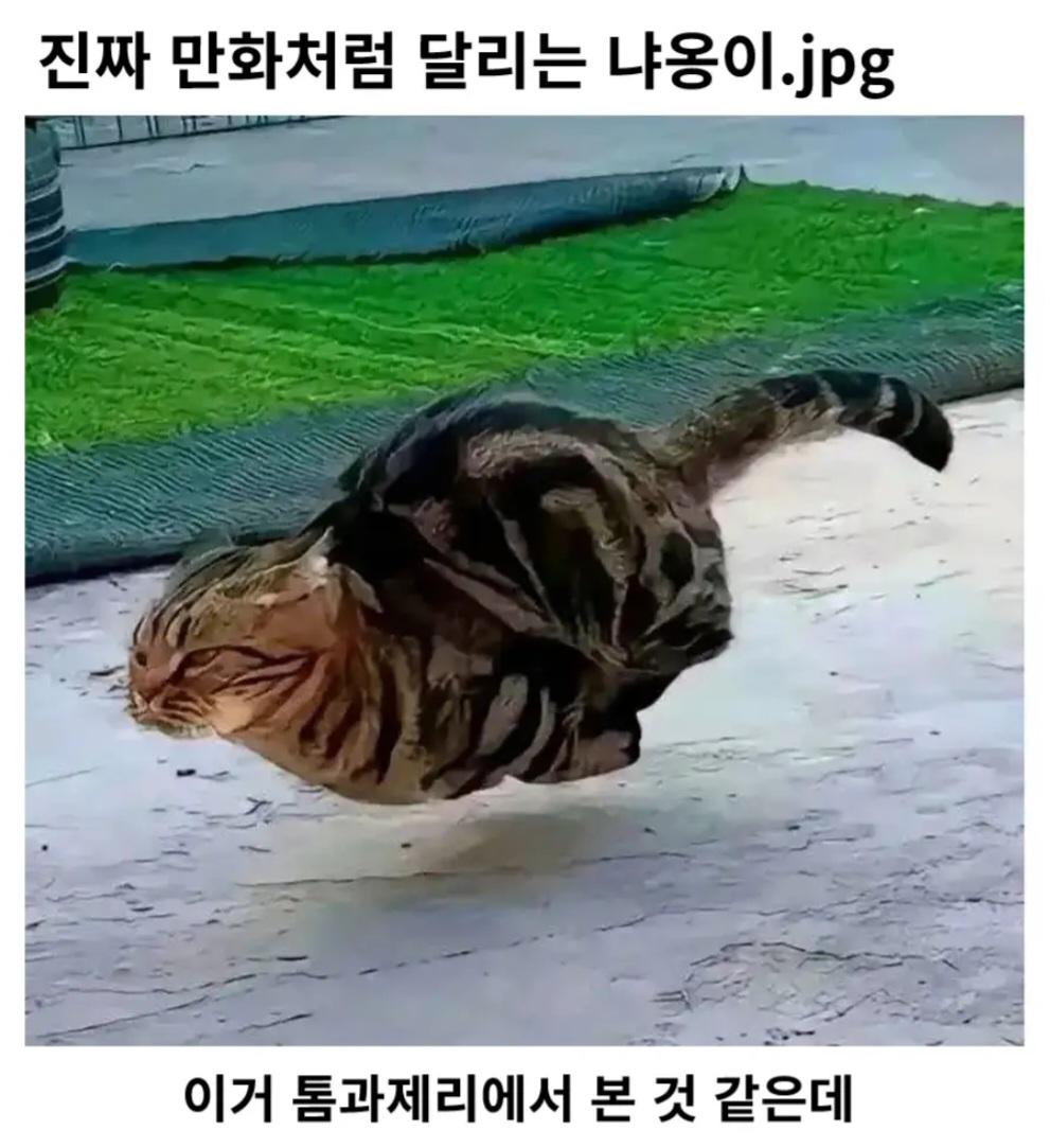 1000004676.jpg