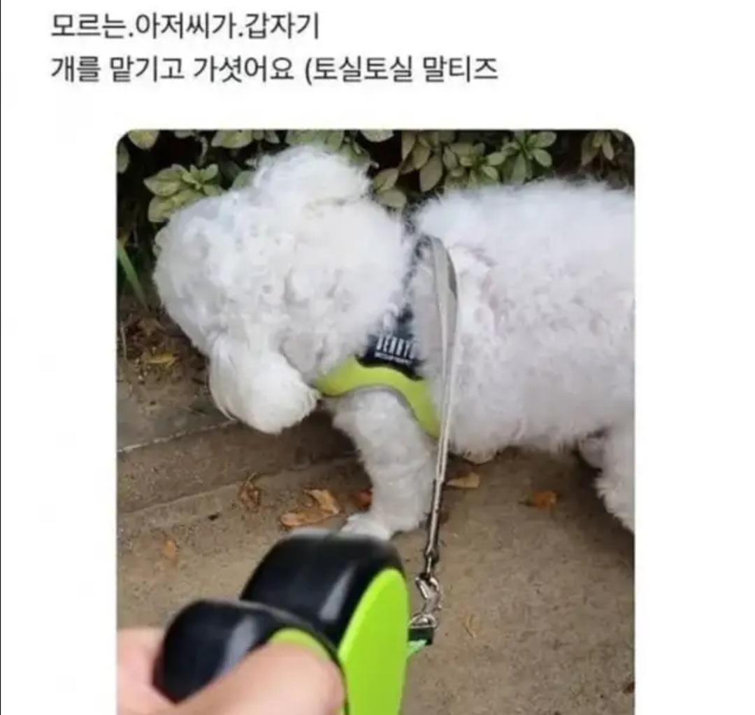 1000004827.jpg
