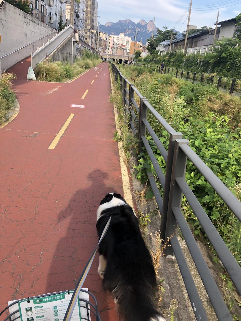 IMG_4608.jpeg