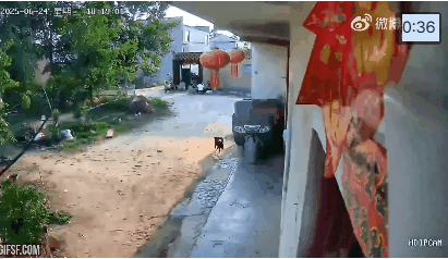 AC_[20250715-092934].gif