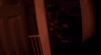 1000053511.gif