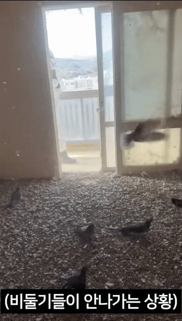 c7e11fc98b8a98e387eb83968b9b53d35f2fe26b_20250715172413.gif