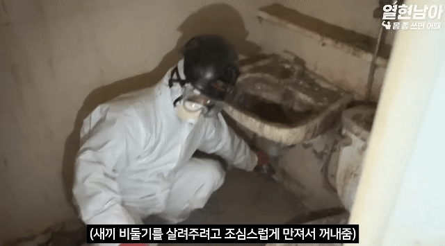 11b08526a7c3e4ec768e8d40601760590994fec8_20250715172427.gif