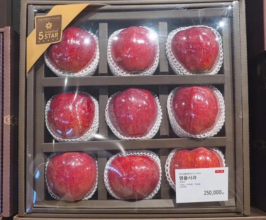 사과.jpg