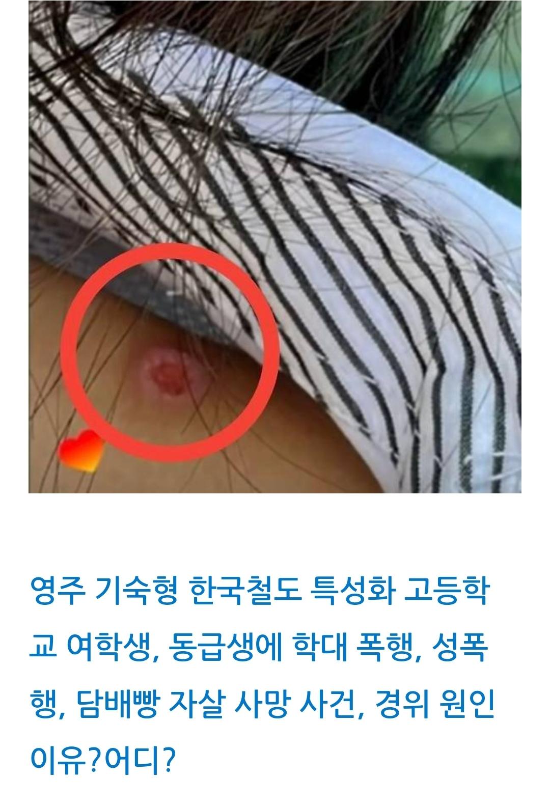Screenshot_20251005_235337_NAVER.jpg