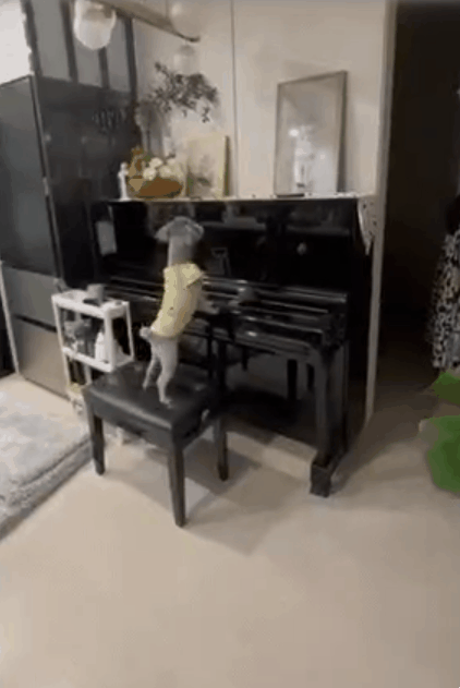 Ŭ���Ͻø� ���� �̹����� ���� �� �ֽ��ϴ�.