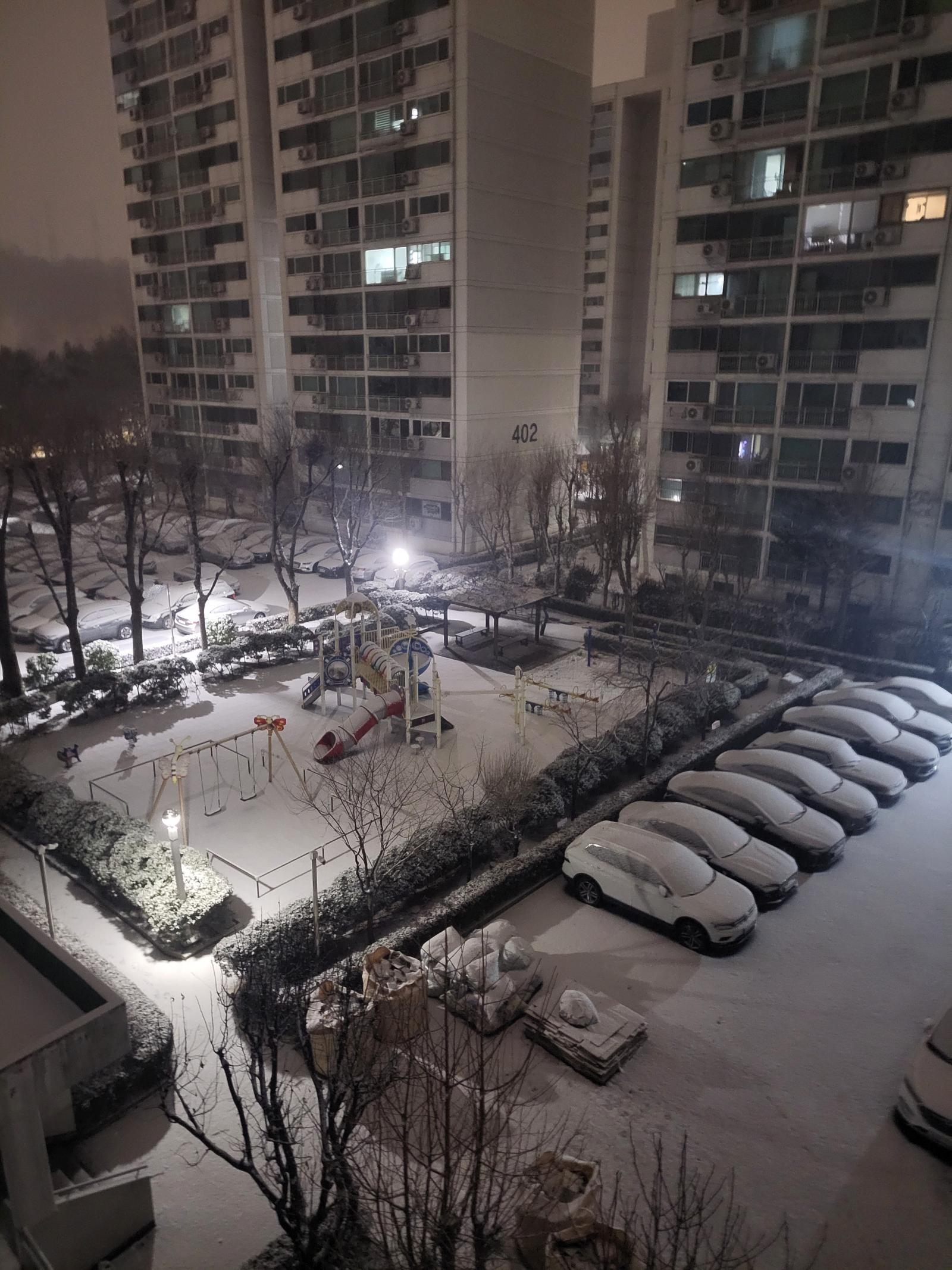 IMG_6784.jpeg