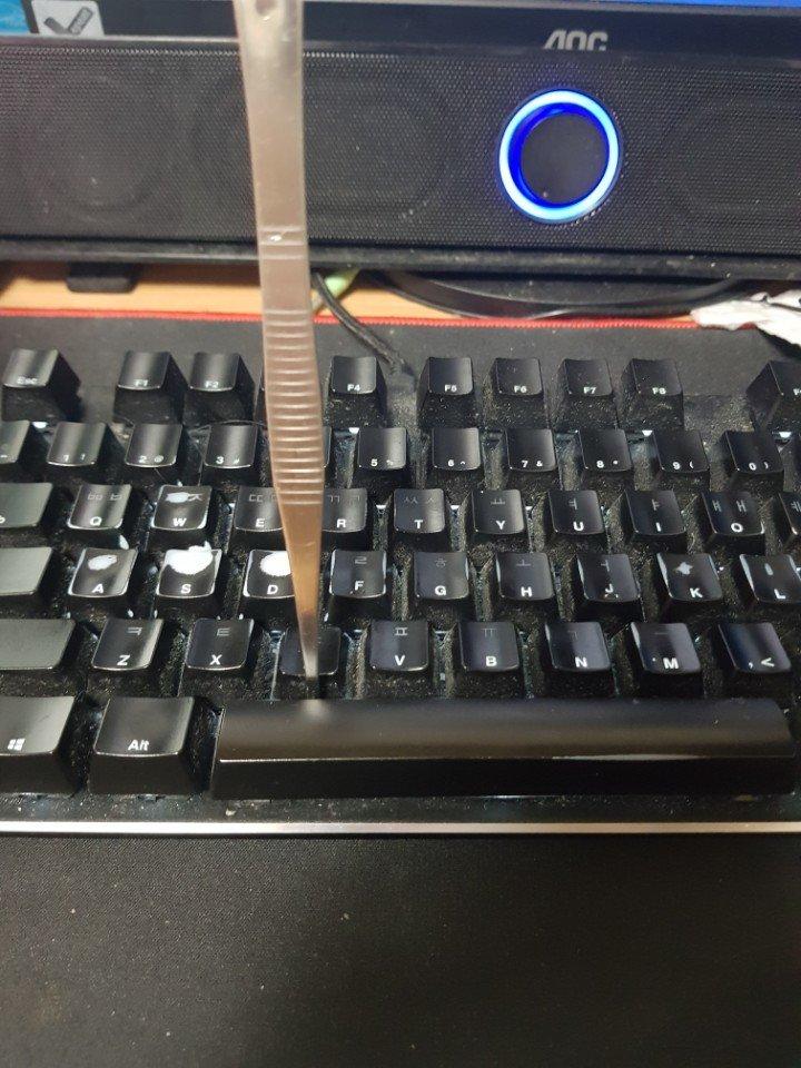1000089418.jpg