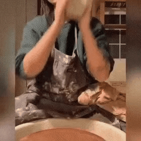 GIF_20260202_224726_552.gif
