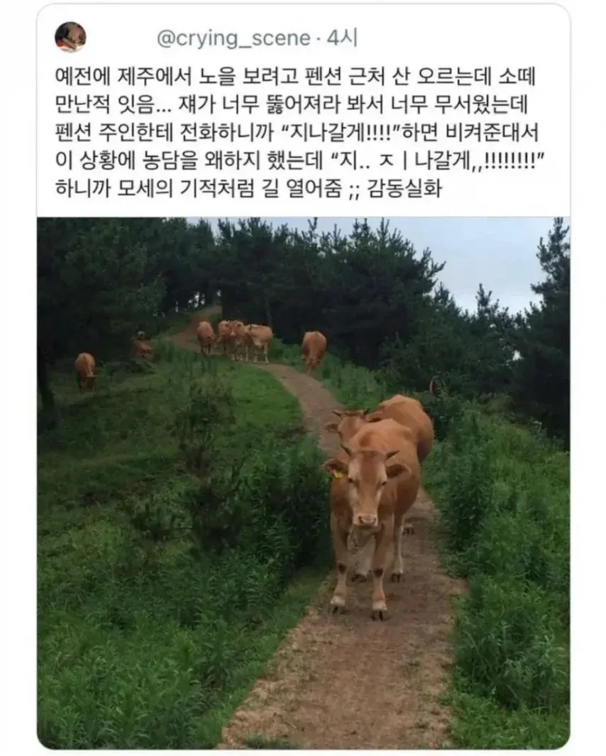 9450051542_486616_d9a5ff9598e21363bbe12b5c97aa1276.png.webp