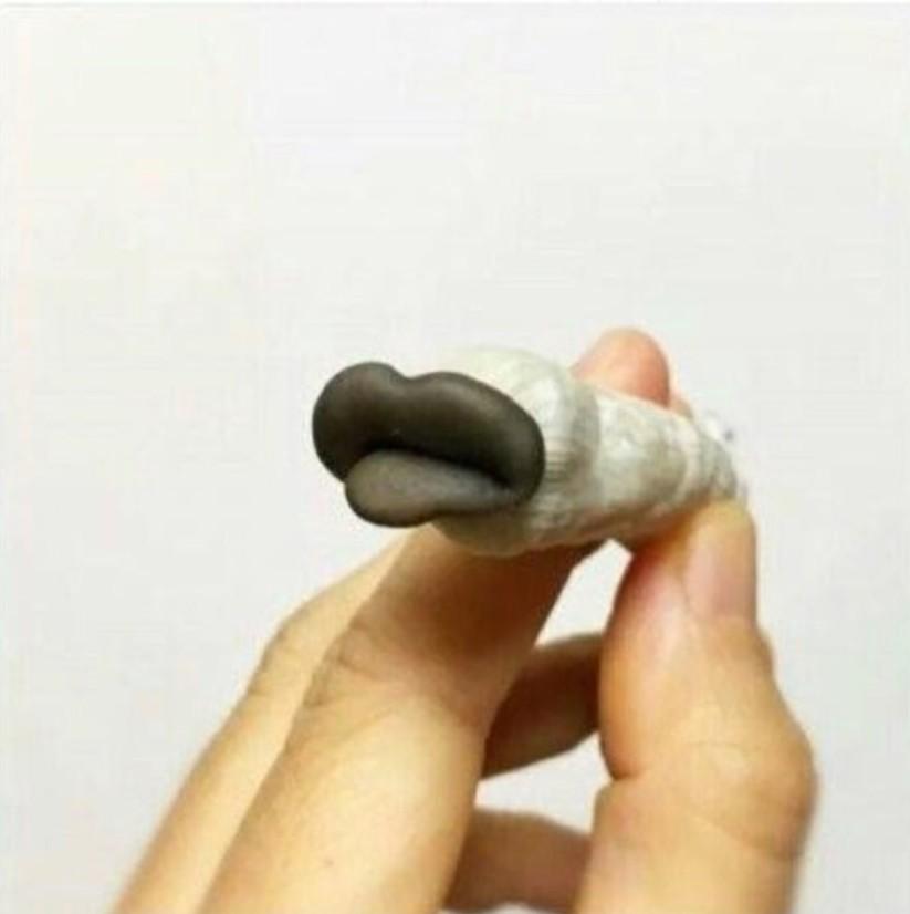느타리버섯.jpg