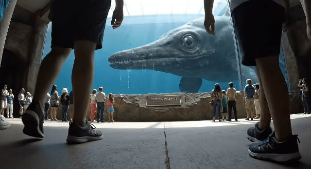 62527b737d919860ee9ca33f0aed1c7354a84f20_20260203135800.gif