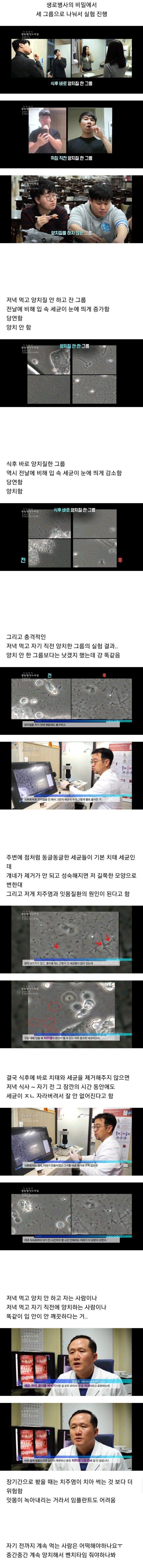 양치.jpeg