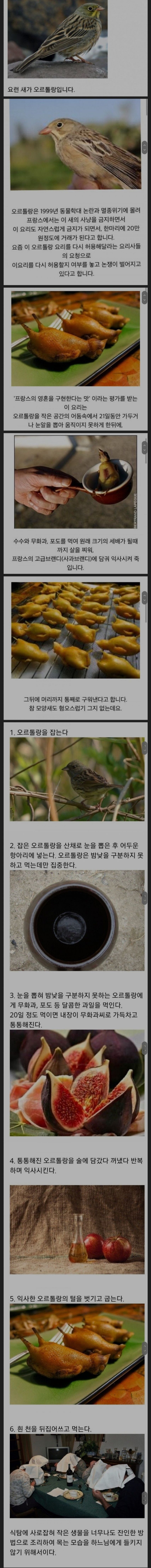 요리.jpeg