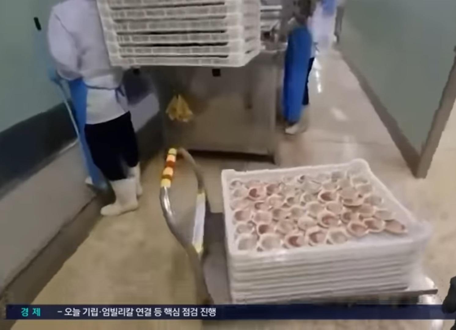 1000086666.jpg
