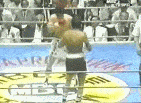2.gif