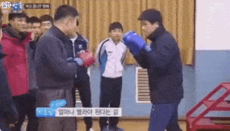 5.gif