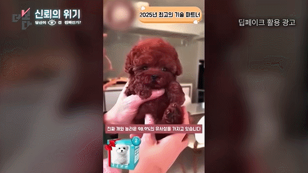 22a3357ad17eb5578cf8dab0d3e927df109308df_20260205091546.gif
