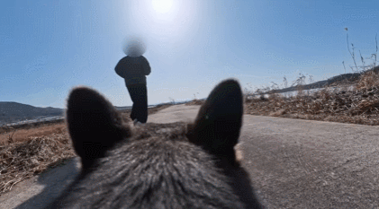 ggas2.gif