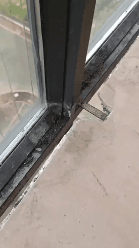 GIF_20260205_172014_680.gif