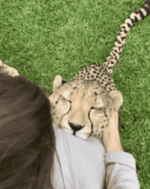 GIF_20260205_204656_362.gif