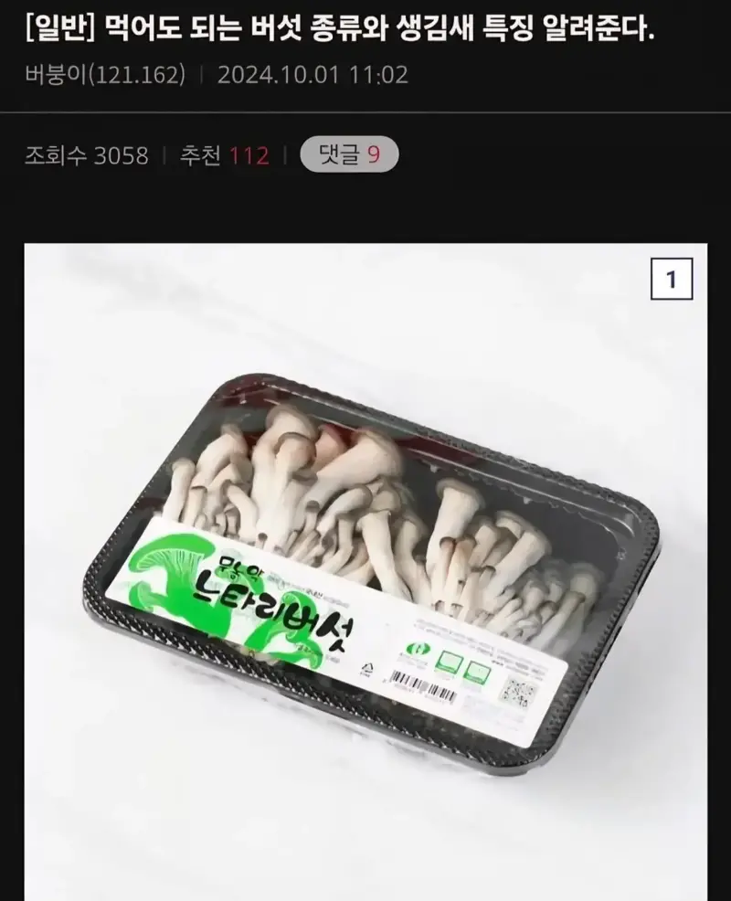 1.webp