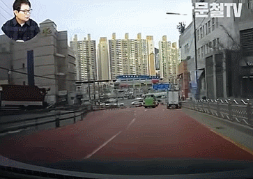 나무한그루가대형사고막아줌-펌.gif