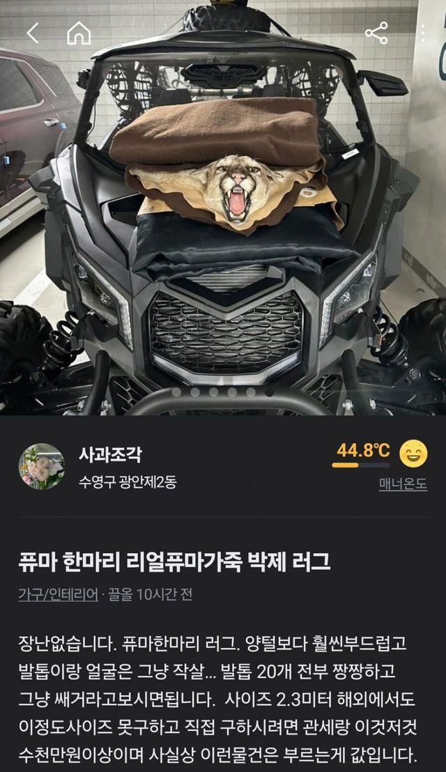 838e86ce-b295-4e5a-b048-a97899d174c7.jpg