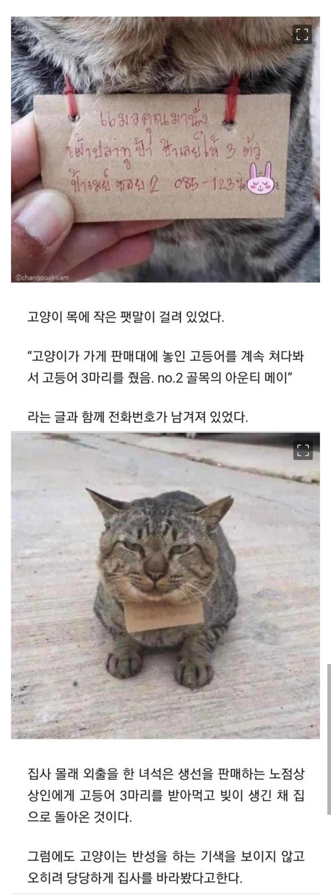 Screenshot_20260206_225404_SOOP.jpg