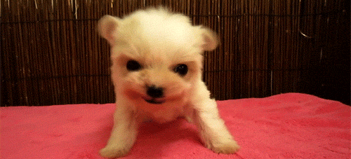 남녀.gif