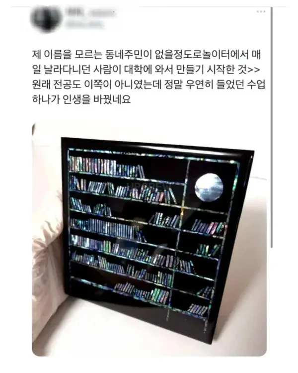 24.webp