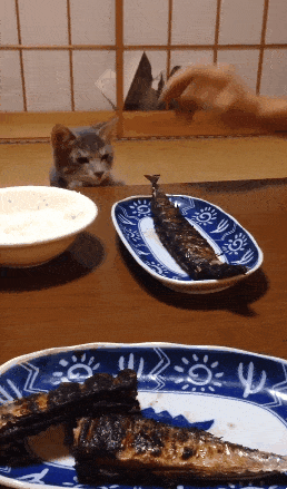 1000055708.gif