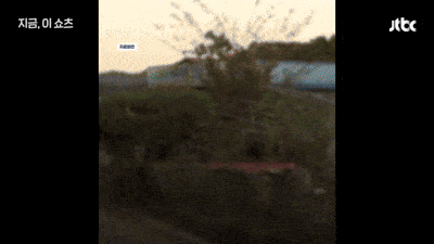1000036852.gif